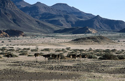 Namibie