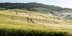 Toscane Toscane